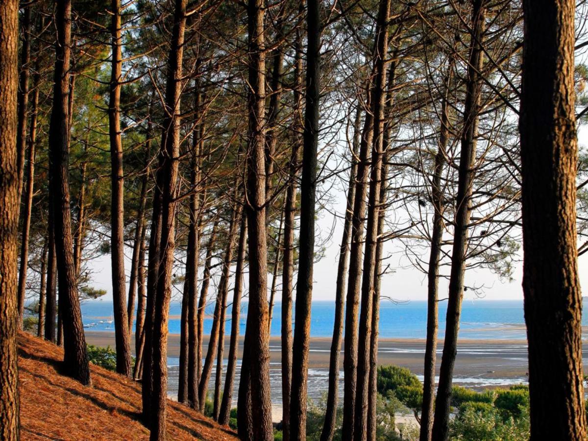 Arcachon Centre : Charmant T2 Avec Loggia, Parking Securise Et Proche Plage - Fr-1-420-61 Екстериор снимка